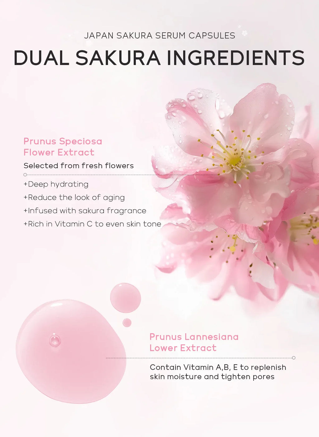 Sérum SAKURA
